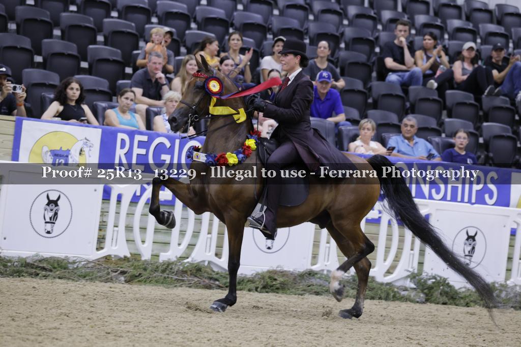 Proof 25R13_13229
