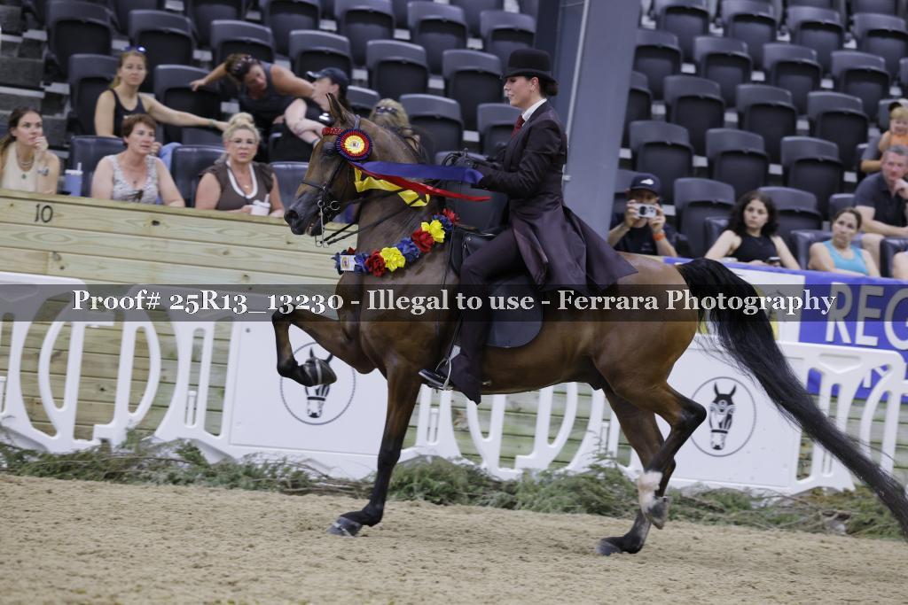 Proof 25R13_13230