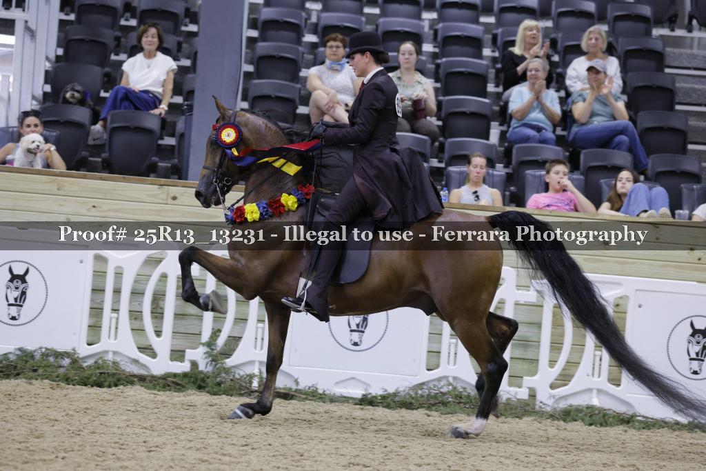 Proof 25R13_13231