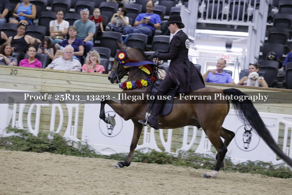 Proof 25R13_13232