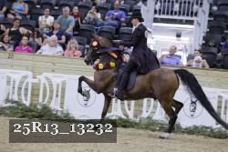 25R13_13232 proof