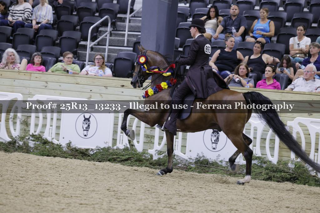 Proof 25R13_13233