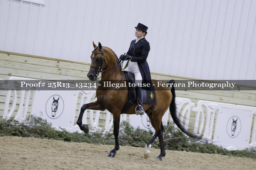 Proof 25R13_13234
