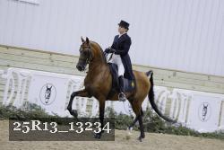 25R13_13234 proof