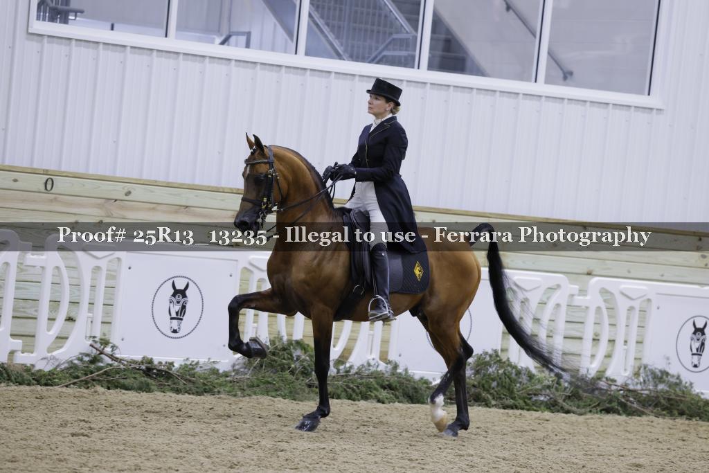 Proof 25R13_13235