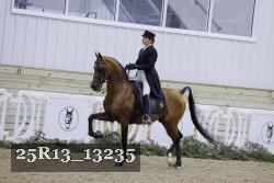 25R13_13235 proof