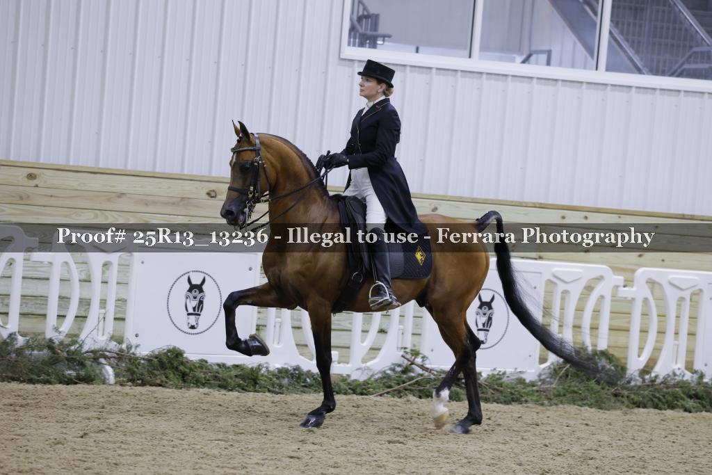 Proof 25R13_13236