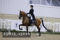 25R13_13236 proof