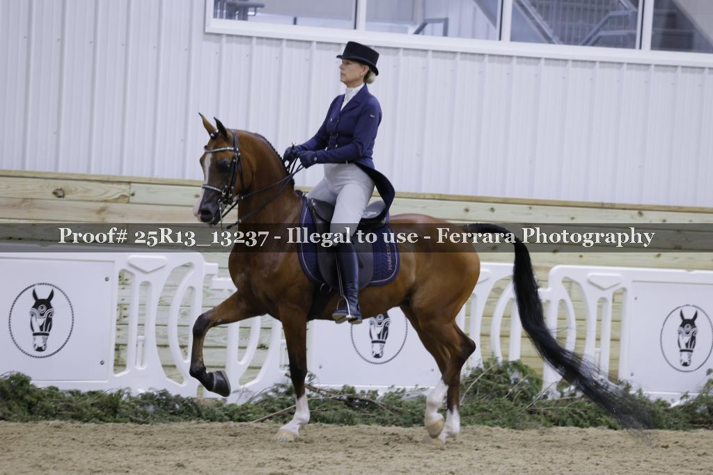 Proof 25R13_13237