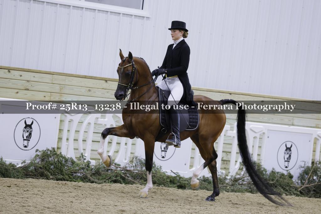 Proof 25R13_13238