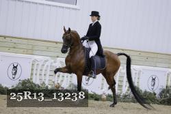 25R13_13238 proof
