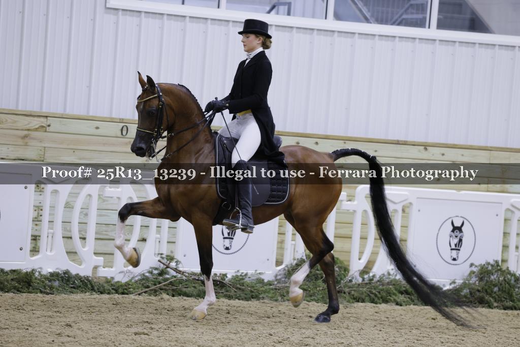 Proof 25R13_13239