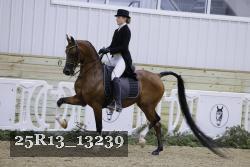 25R13_13239 proof