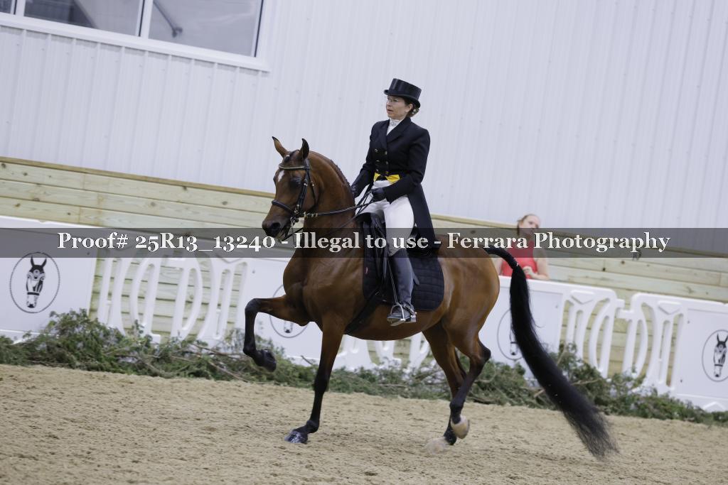 Proof 25R13_13240