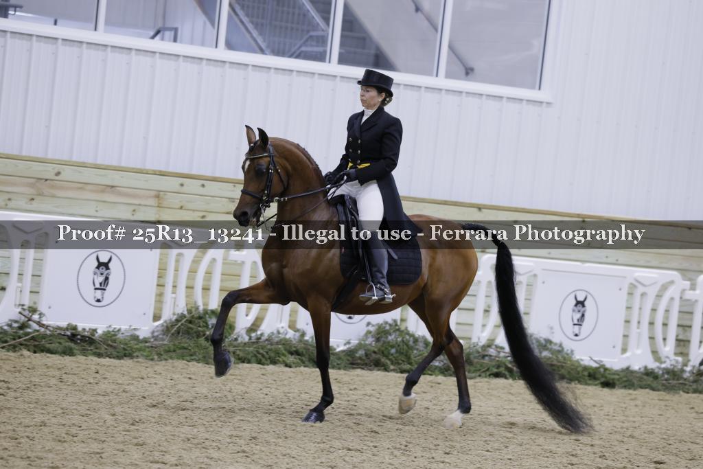 Proof 25R13_13241