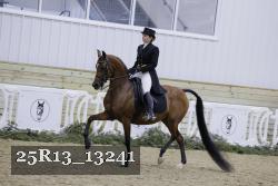 25R13_13241 proof