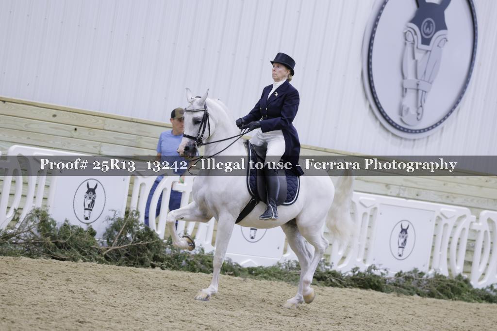 Proof 25R13_13242