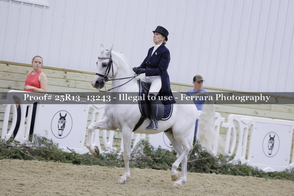 Proof 25R13_13243