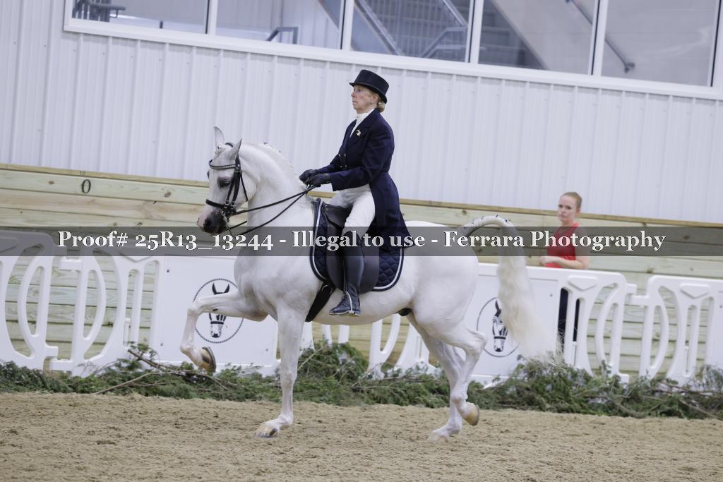 Proof 25R13_13244