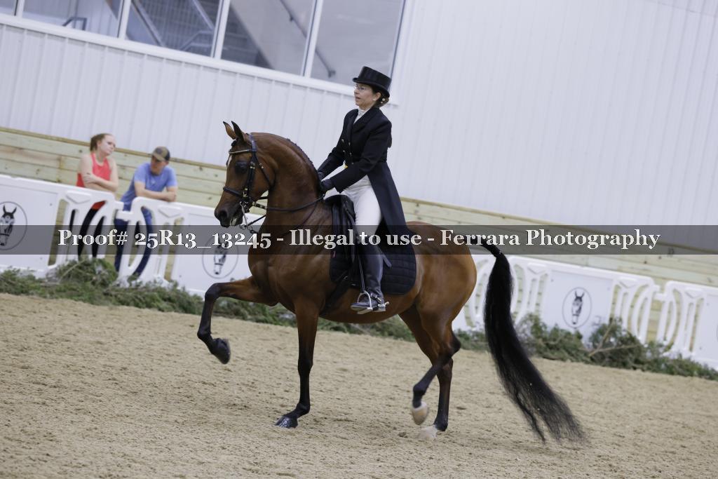Proof 25R13_13245