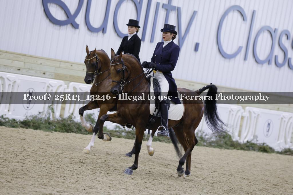Proof 25R13_13246