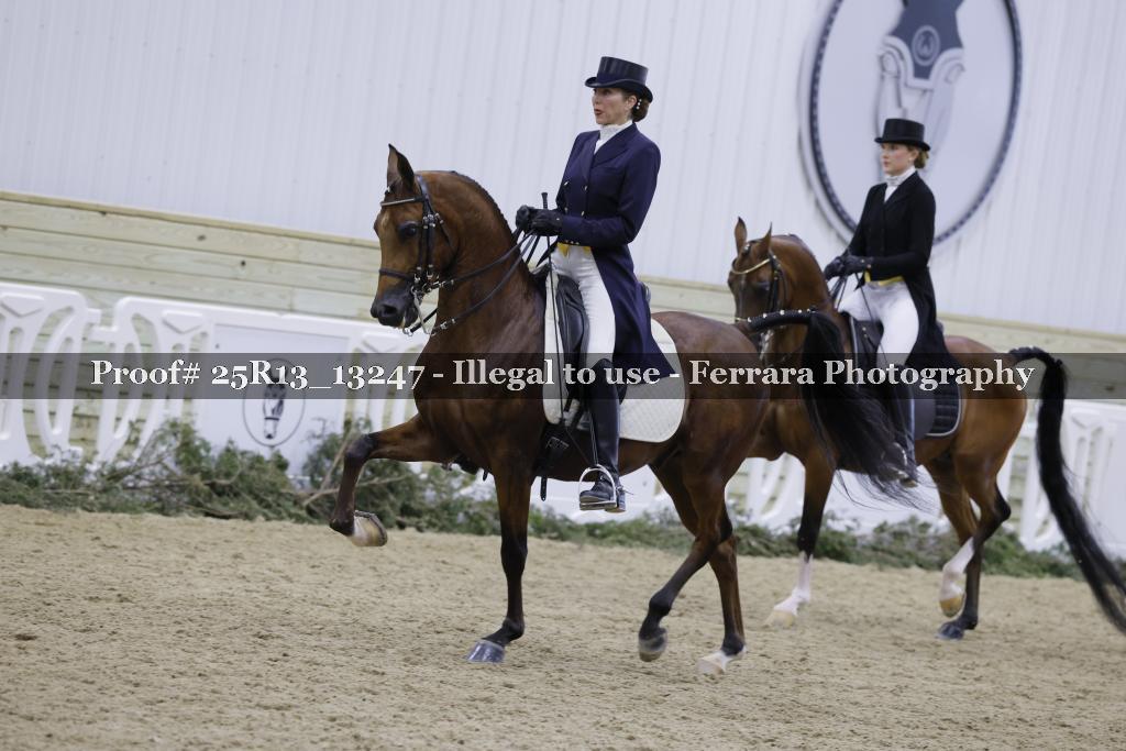 Proof 25R13_13247