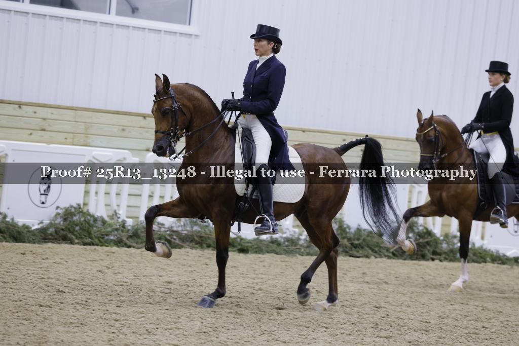 Proof 25R13_13248