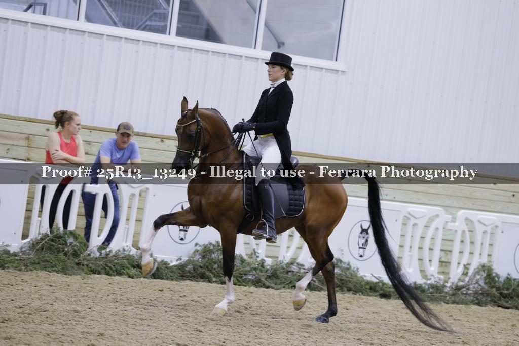 Proof 25R13_13249