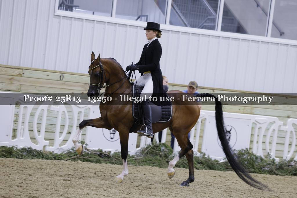 Proof 25R13_13250