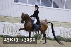 25R13_13250 proof