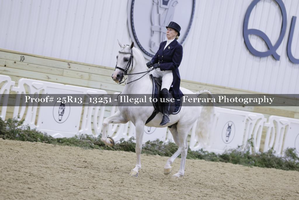Proof 25R13_13251
