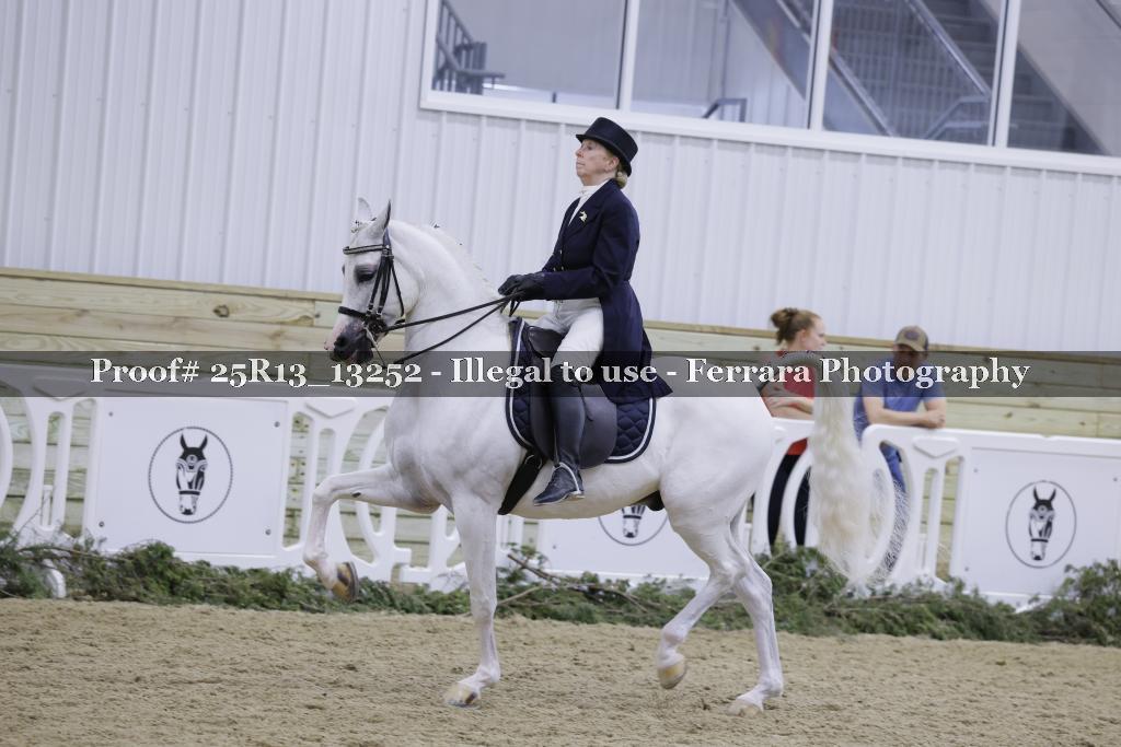 Proof 25R13_13252