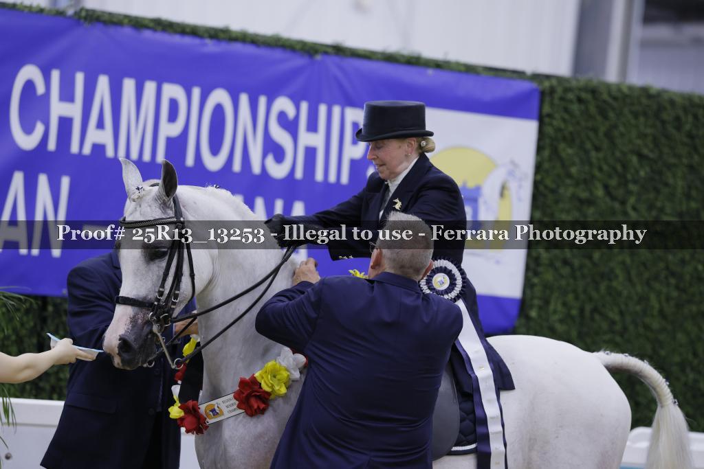 Proof 25R13_13253