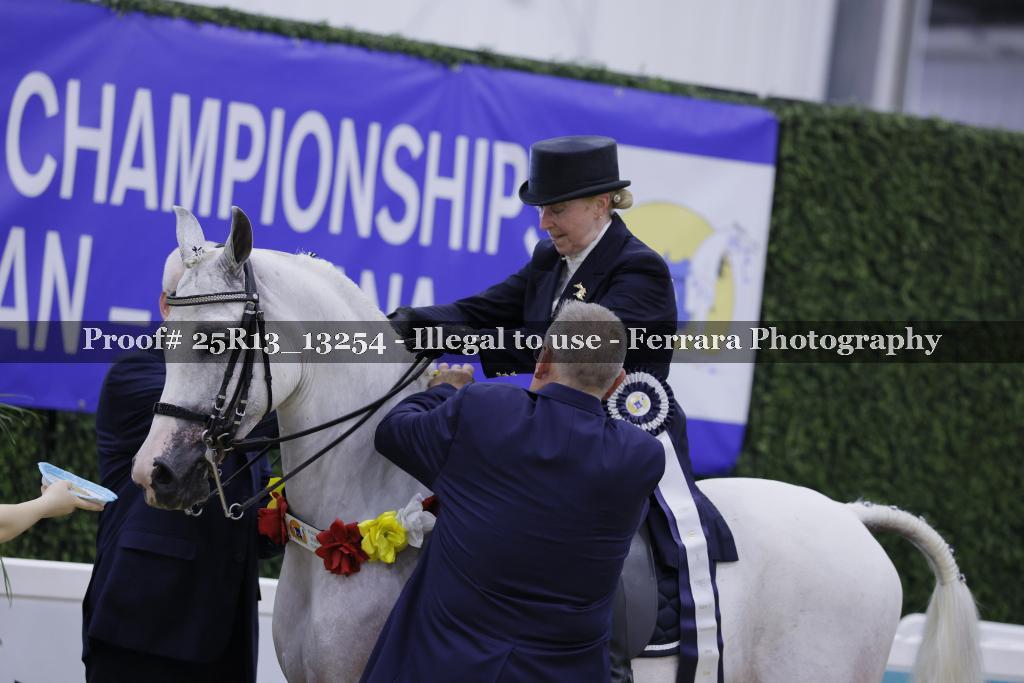 Proof 25R13_13254