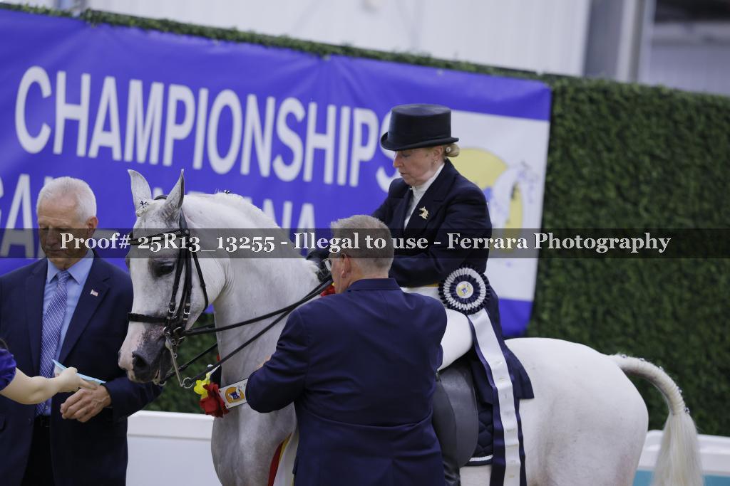 Proof 25R13_13255