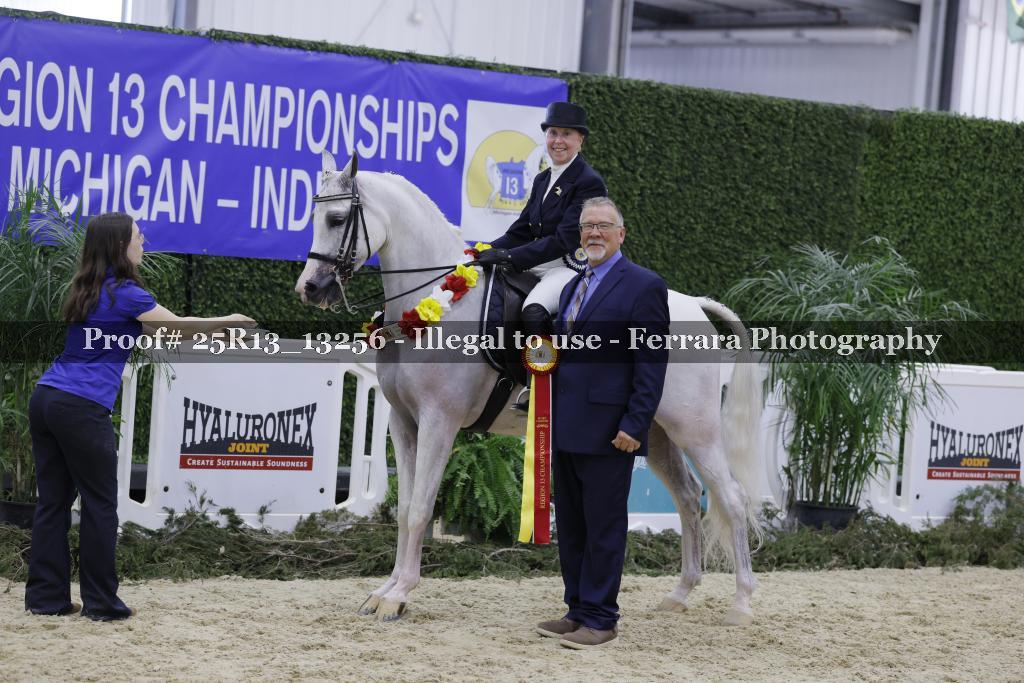 Proof 25R13_13256