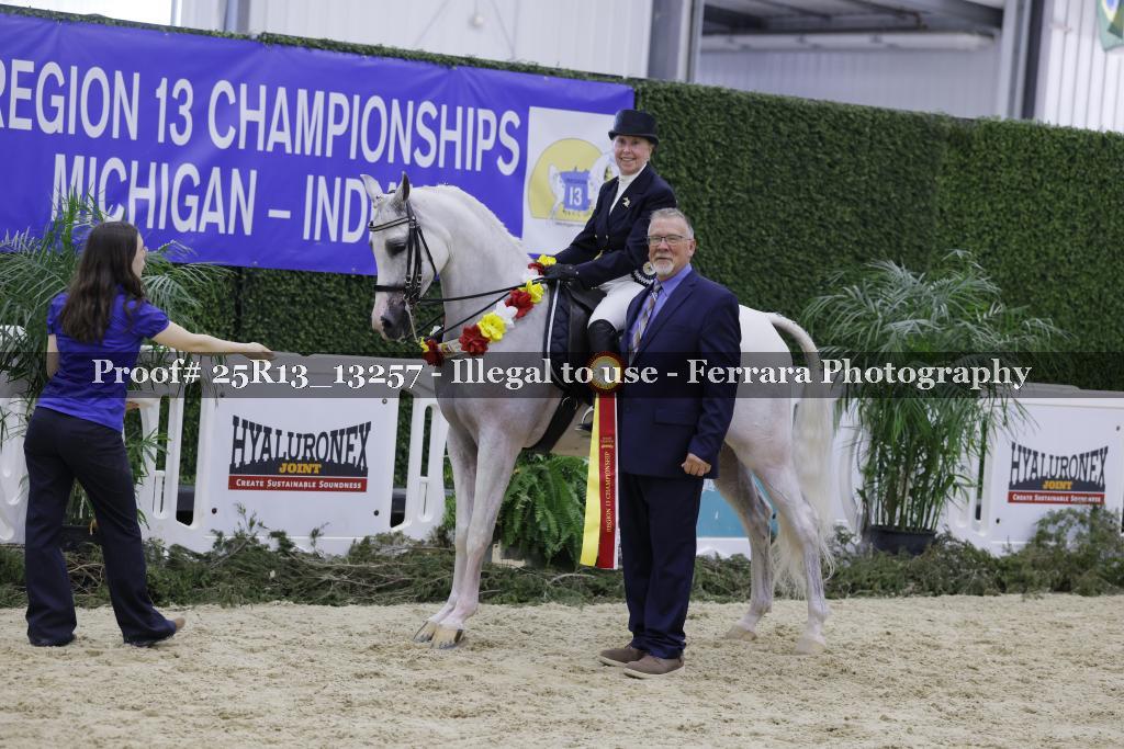 Proof 25R13_13257