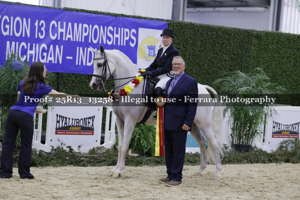 Proof 25R13_13258