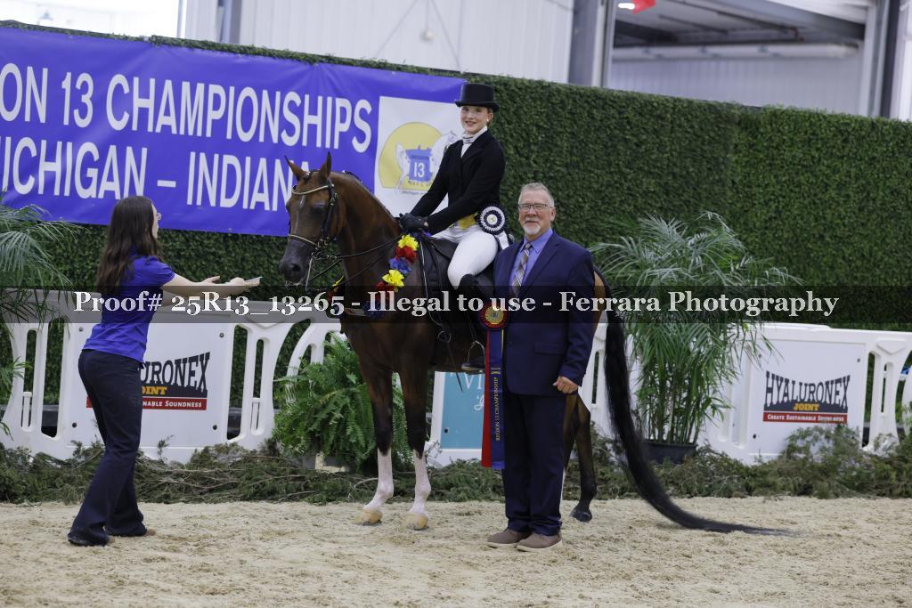 Proof 25R13_13265