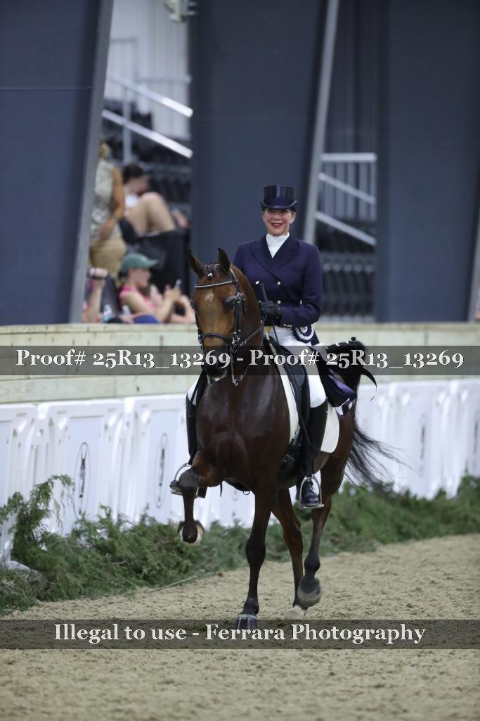 Proof 25R13_13269