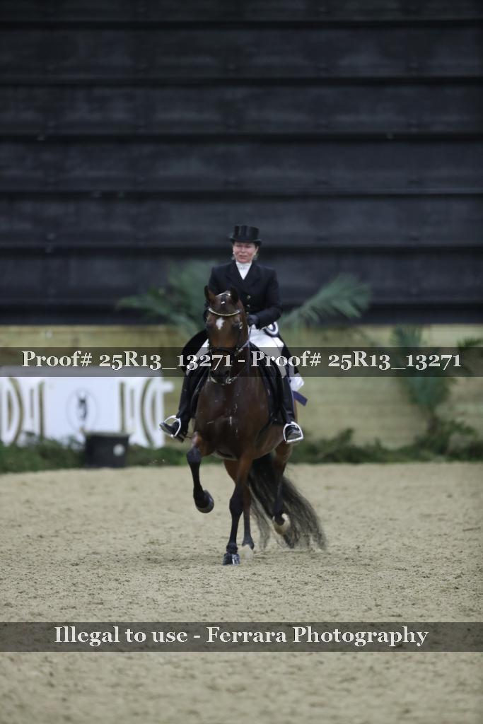 Proof 25R13_13271