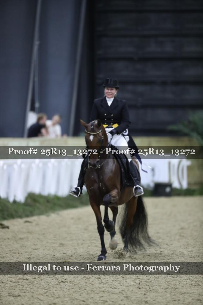 Proof 25R13_13272