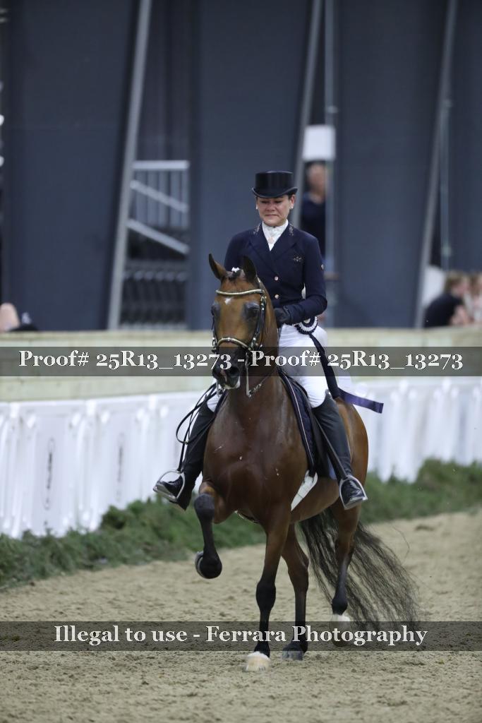 Proof 25R13_13273