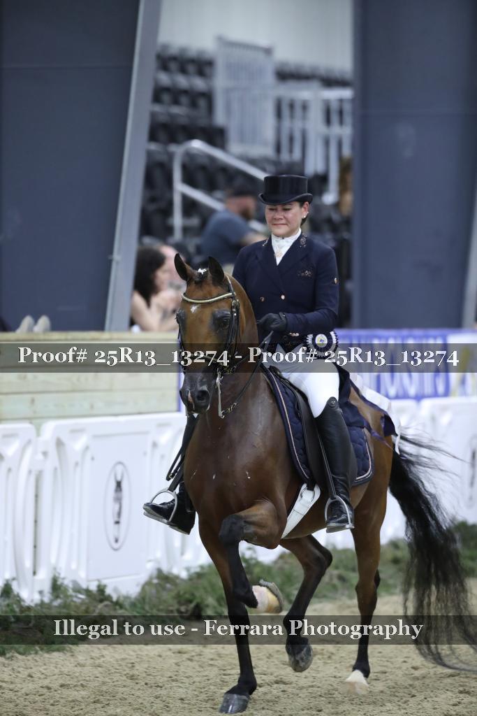Proof 25R13_13274
