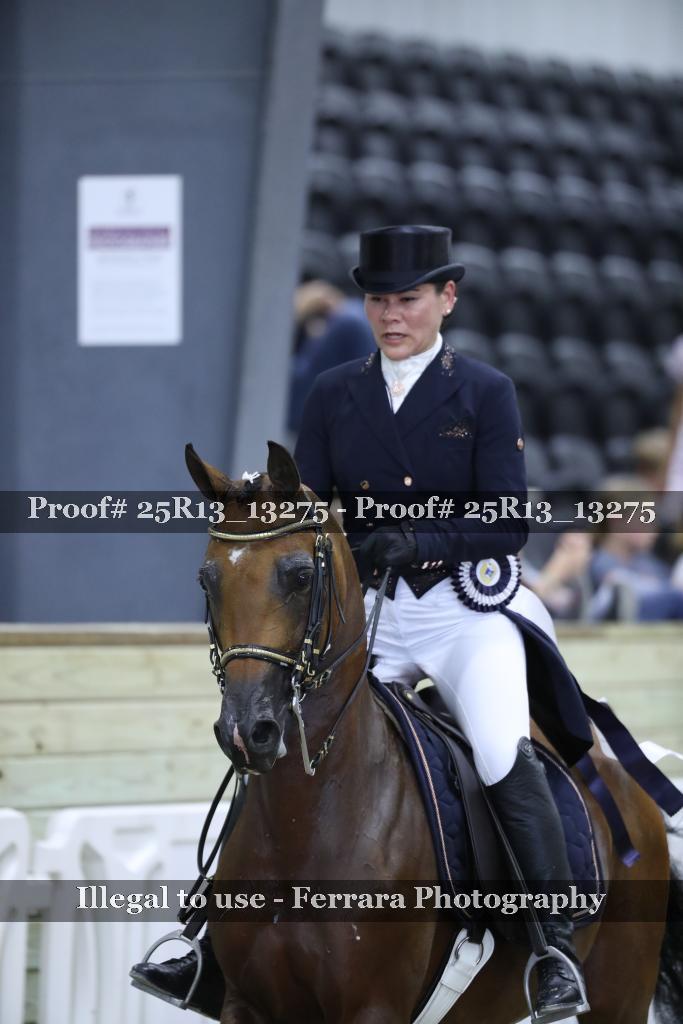 Proof 25R13_13275