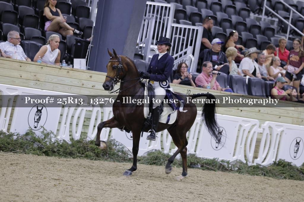 Proof 25R13_13276