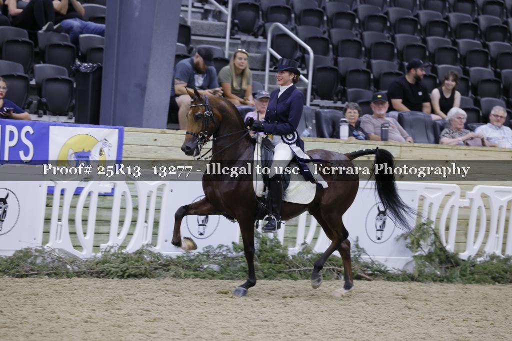 Proof 25R13_13277
