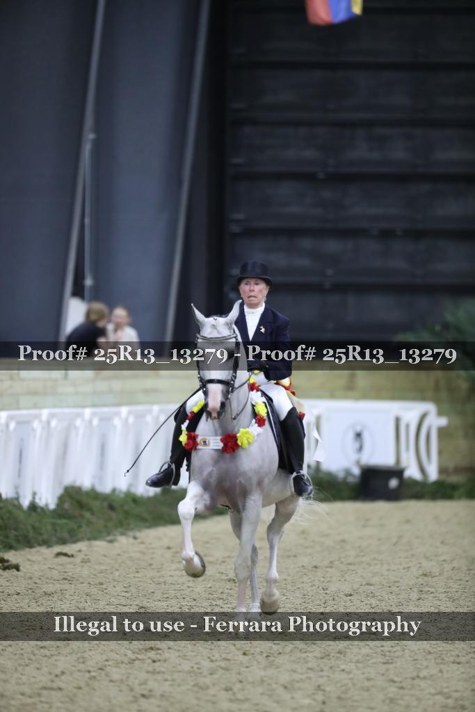 Proof 25R13_13279