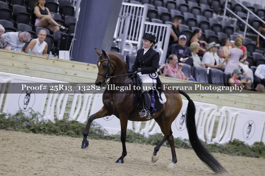 Proof 25R13_13282