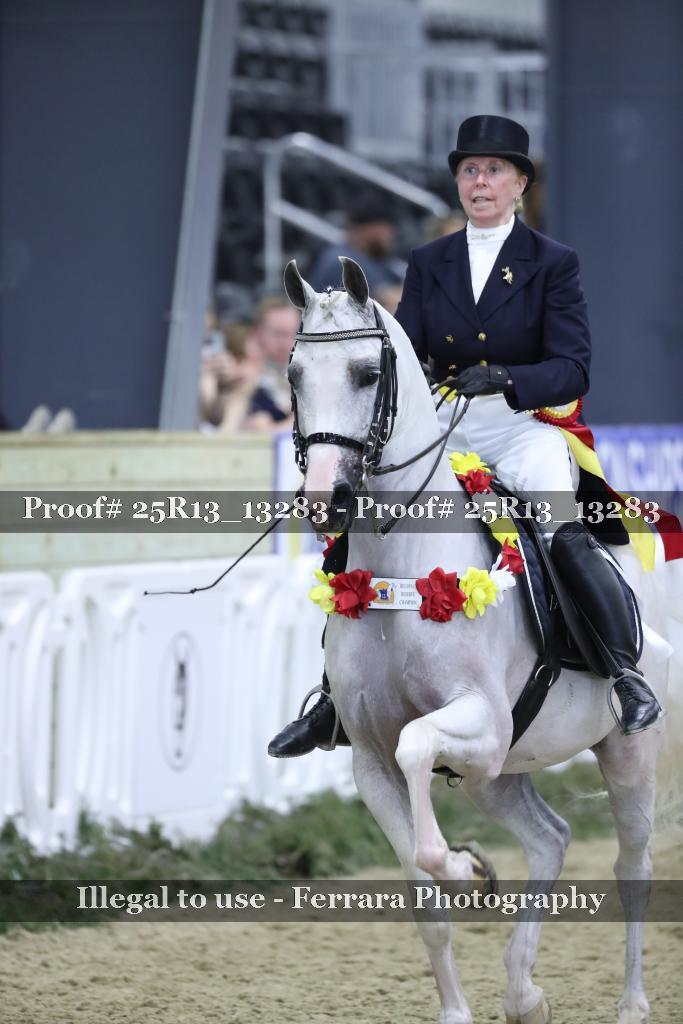Proof 25R13_13283